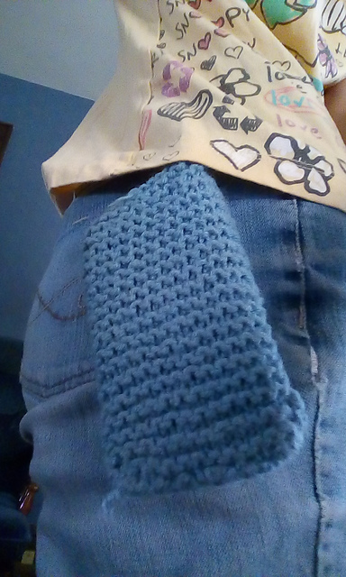 Phone cozie