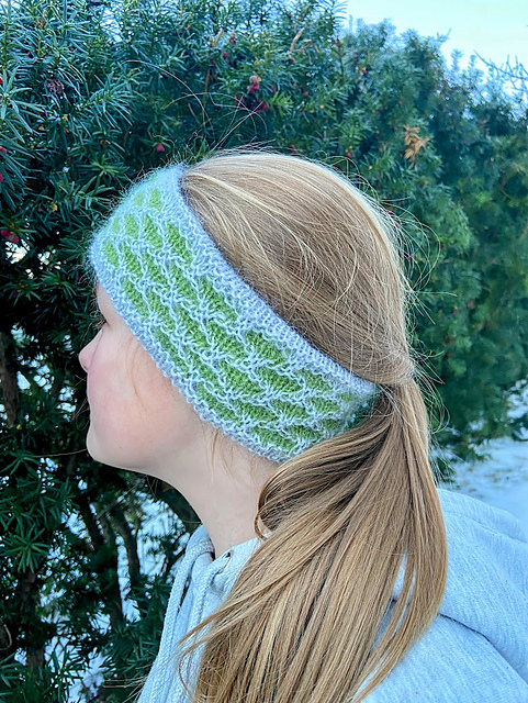 Pannebånd kartlav/Headband Map Lichen