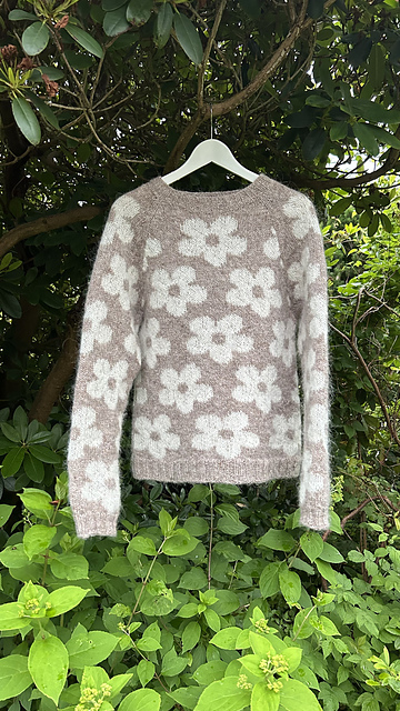 【L'Appartement】DAGMAR Border Knit フリーサイズ DAGMAR/ダグマー】Border Knit L'Appartement *【DAGMAR/ダグマー