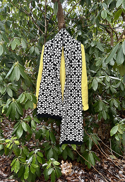 Anemone Scarf