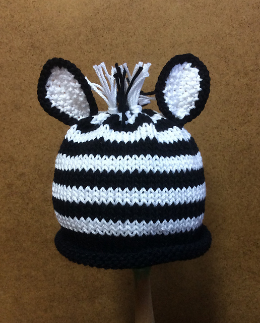 Baby Zebra