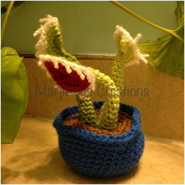 Venus Flytrap