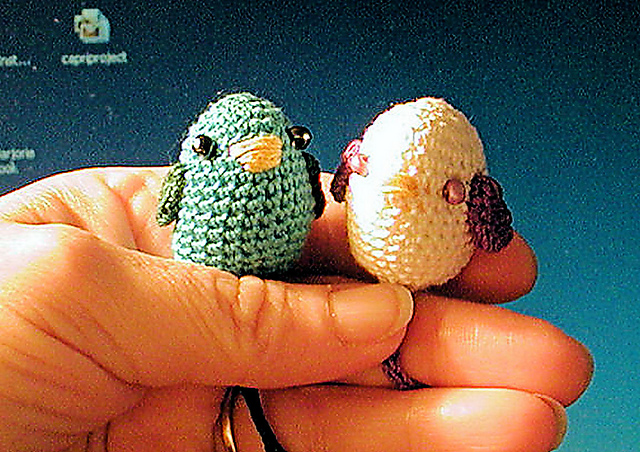 LoveBird Book Thong
