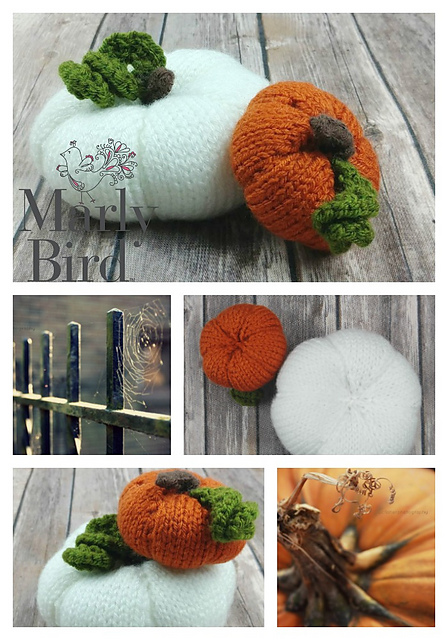 Pumpkin Patch