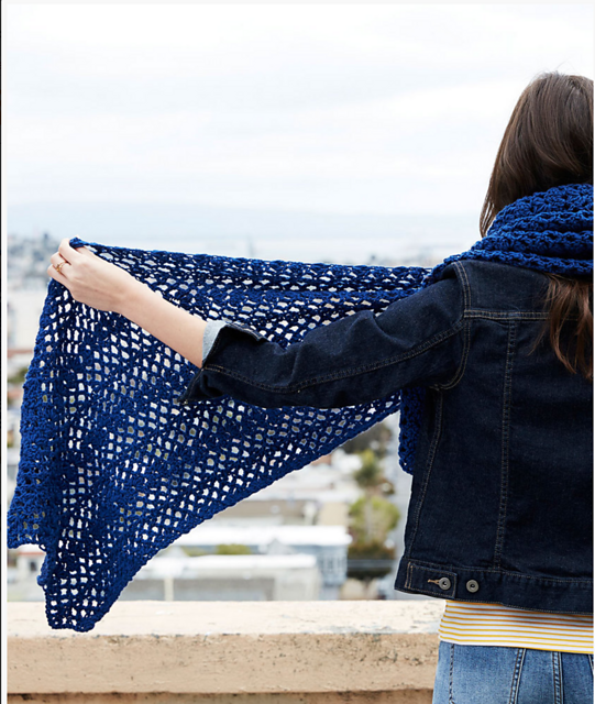 Lafayette Chic Shawl