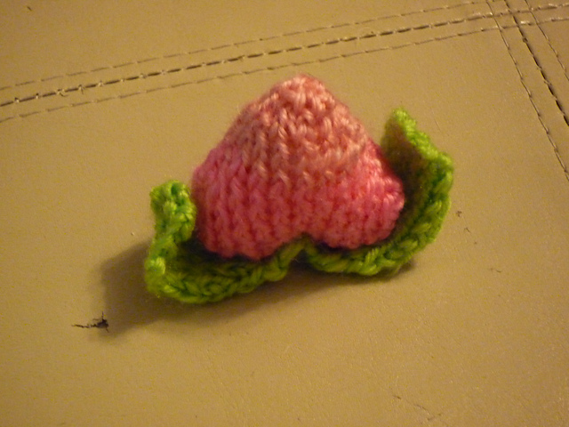 Pecha Berry