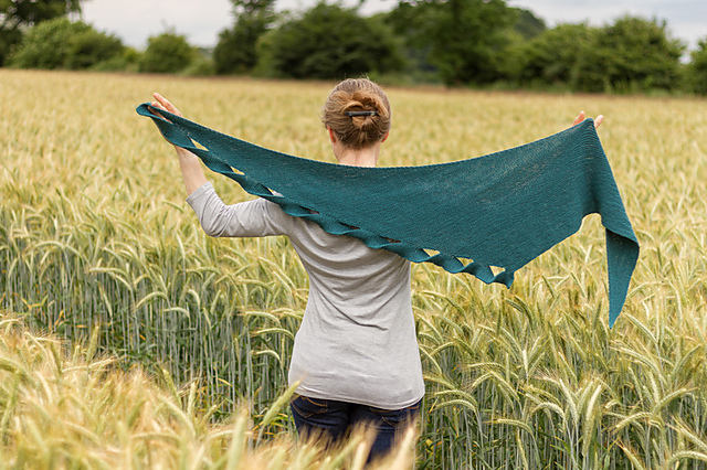 Knitters’ DNA