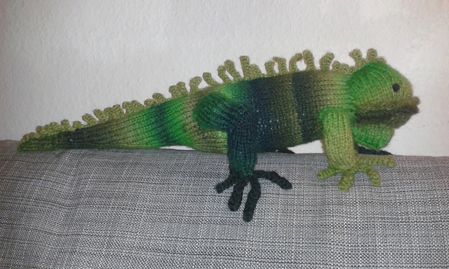 Ohitsaniguana Iguana