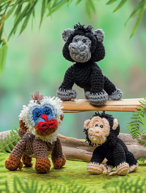 Primates (Gorilla, Baboon, and Chimpanzee)