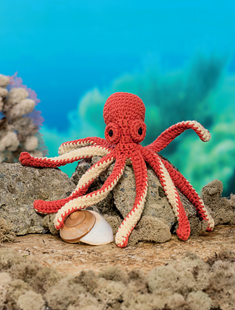 Octopus