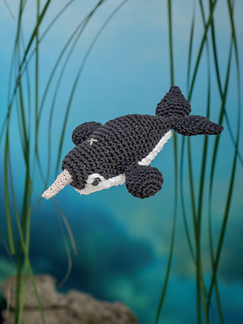Narwhal