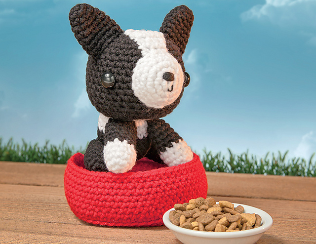 Santiago, my Boston Terrier Puppy