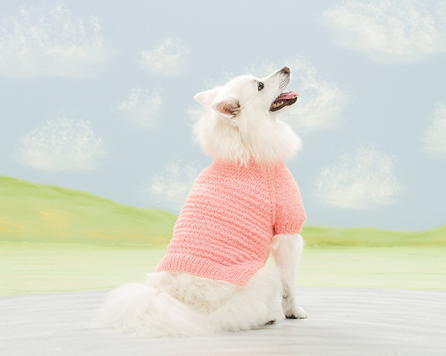 Taffy