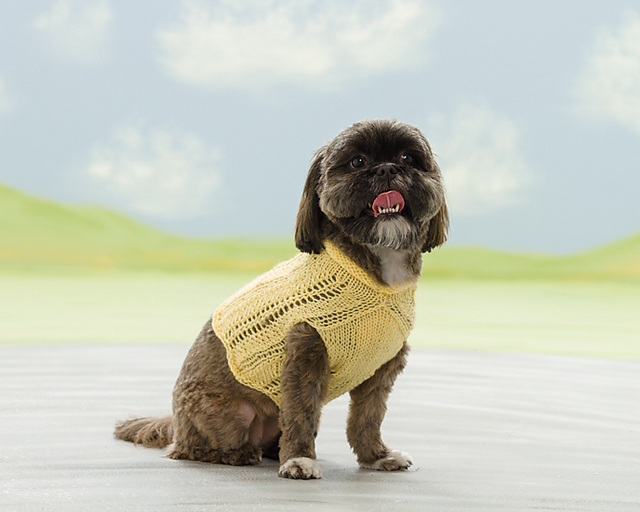 Buttercup
