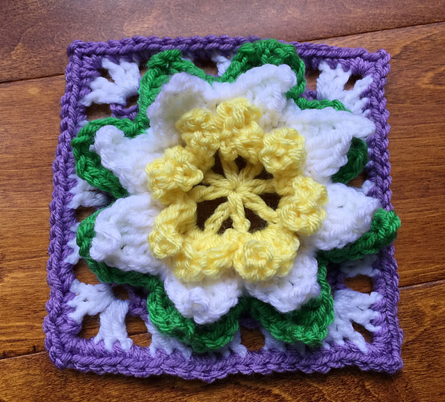 July Water Lily