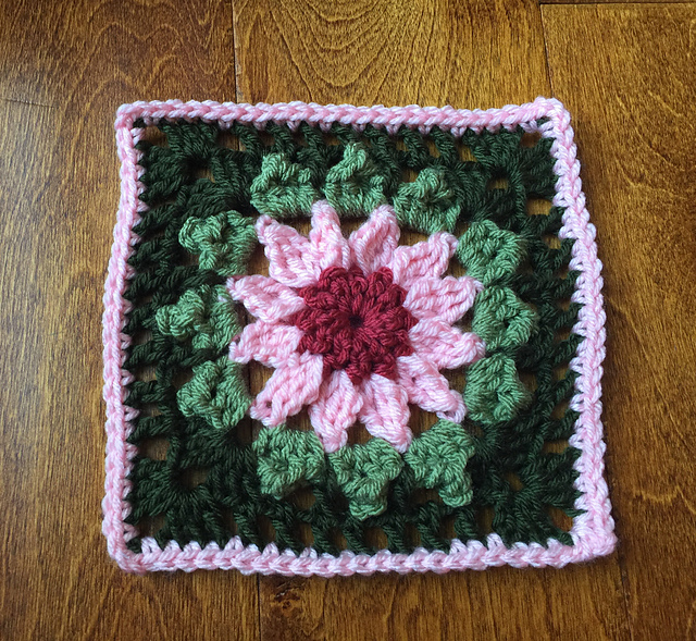 Coneflower