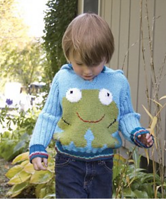 Hooded Frog Pullover