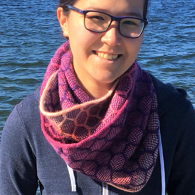 Reversible Honeycomb Cowl