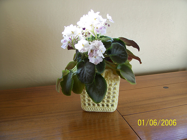planter cozy