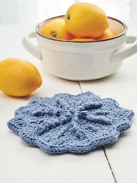 Star Patch Pot Holder