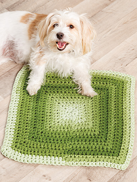 Shelter Animal Bed