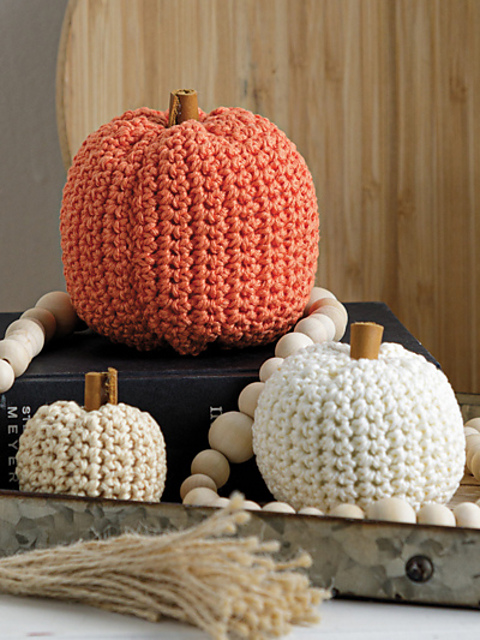 Beginner Pumpkins