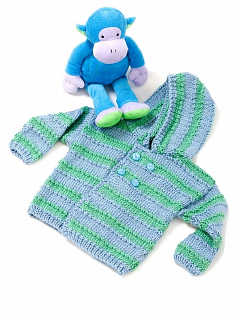 Baby Boy Hooded Sweater