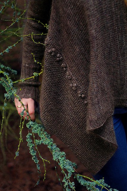 Understory