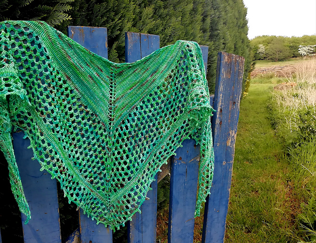 Meshcookie Shawl