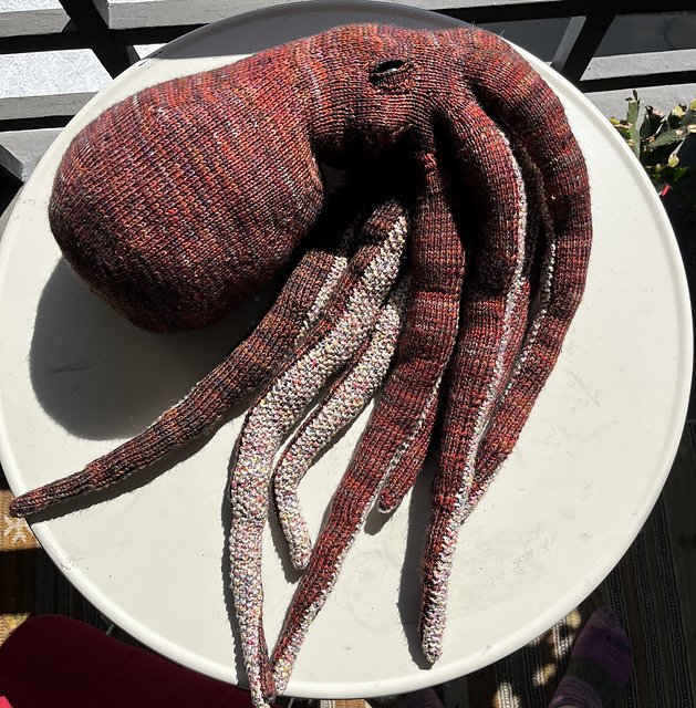 Photo of knitted octopus