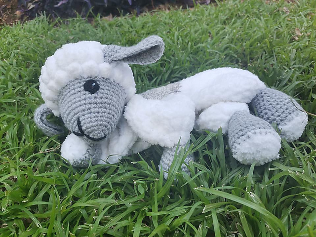 Cuddle Lamb