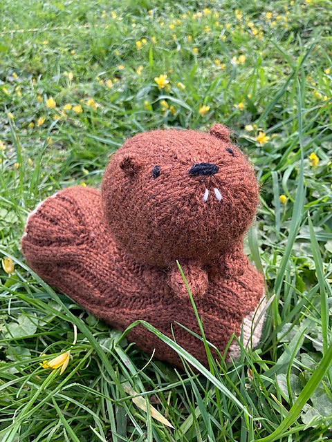 Logley the Beaver