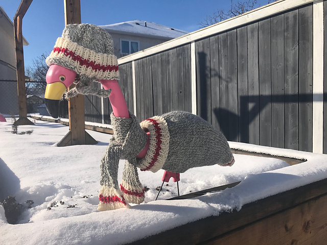 Flamingo Sweater Set