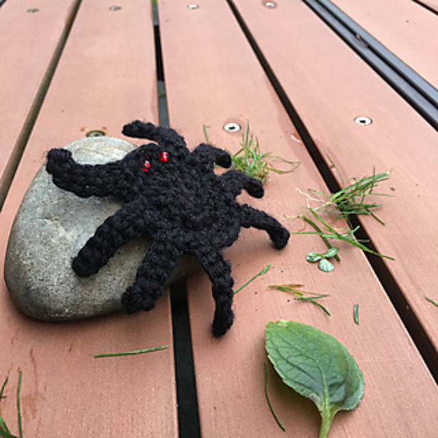Spencer the Spider