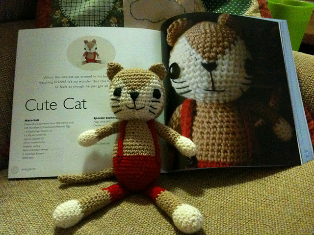 Cute Cat