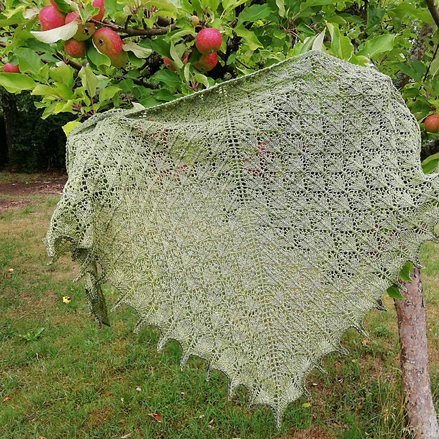 Chardon Shawl