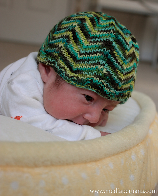 Ollie's Hat