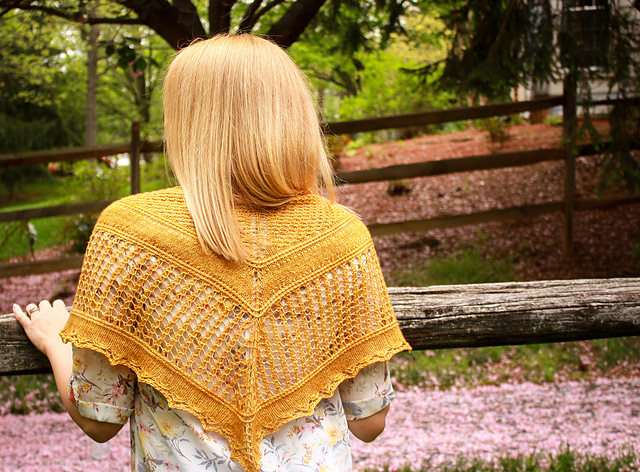 Abeja Shawl