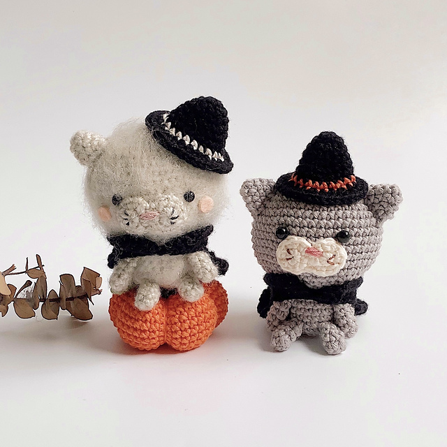 Witch Cat in Halloween