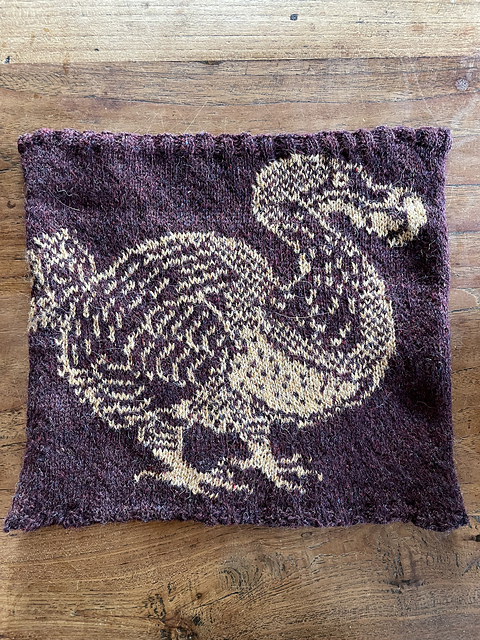 Reversible Dodo Cowl