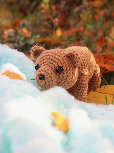 Ollie the Bear
