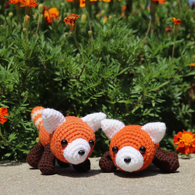 Mabel the Red Panda