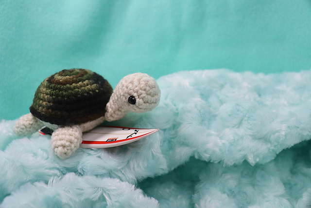 Sheldon the Turtle