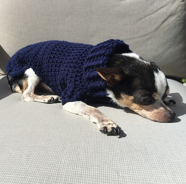 X-small Dog Sweater