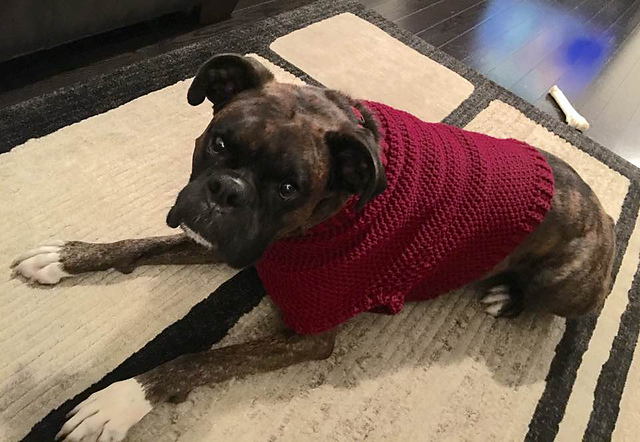 Large Dog Sweater