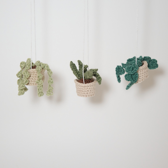 Mini succulents