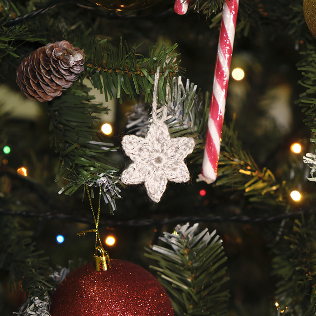 Christmas star