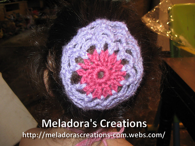 Hair Bun Cover