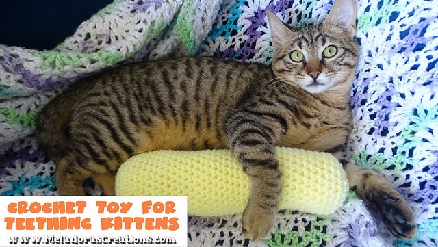 Crochet Cat Toy