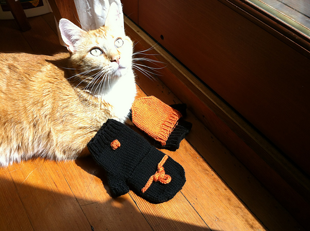 Alpine Butterfly Mitts